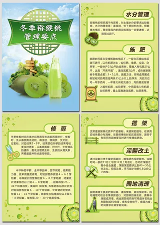 猕猴桃管理要点农业技术海报