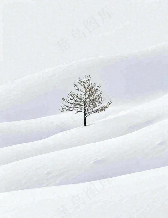 冬天意境简约松树雪地，立冬冬至小雪大雪小寒大寒(960x1248)