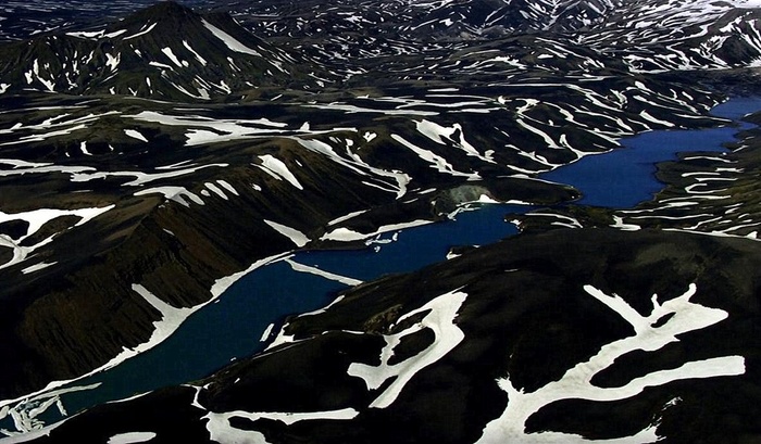 奶牛纹自然奇观