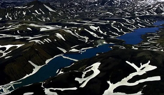 奶牛纹自然奇观