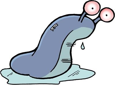 鼻涕虫 PNG免抠(400x298)