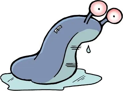鼻涕虫 PNG免抠(400x298)