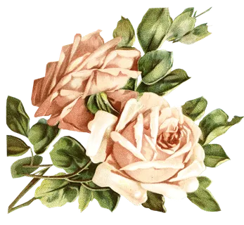 古典花卉png免扣素材