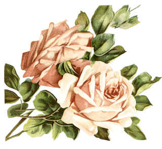 古典花卉png免扣素材