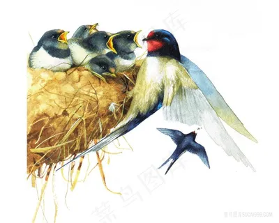 燕子喂食油画 燕子喂食油画