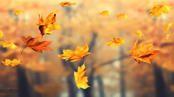 秋天的落叶飘零在空中摄影图