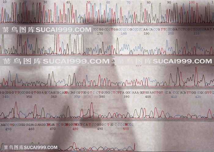 研究实验-实验室波形图