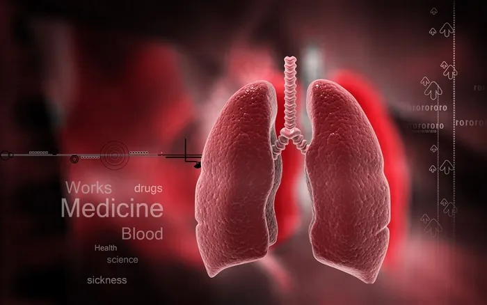 身体器官医疗科学高清图片素材
