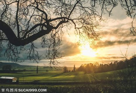 黄昏草原风光摄影
