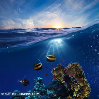 海底世界高清图片