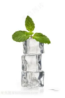 夏日冰块与薄荷叶 夏日冰块与薄荷叶