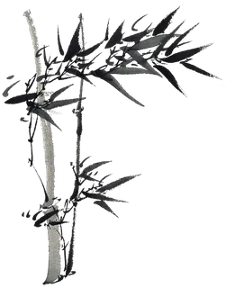 竹子水墨画中国风国画墨水书法竹子画