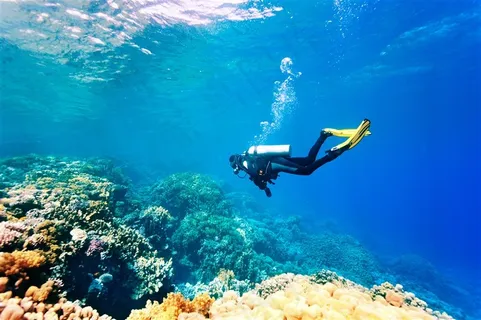 在海底游泳的人物大图 在海底游泳的人物大图