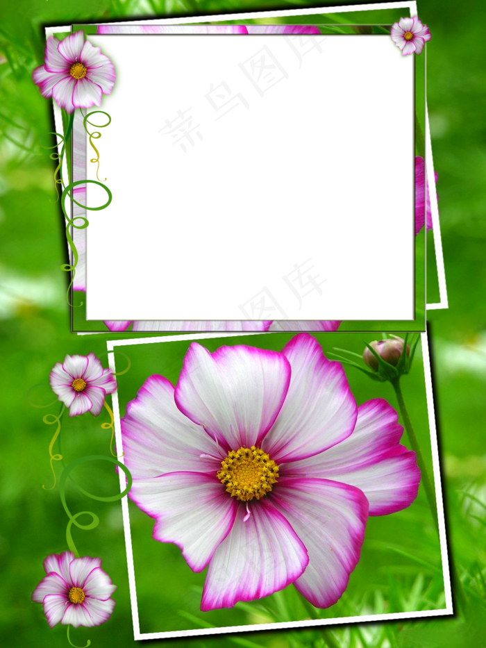 花边相框素材图片下载