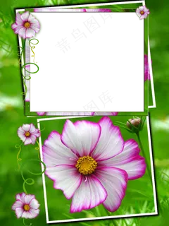 花边相框素材图片下载