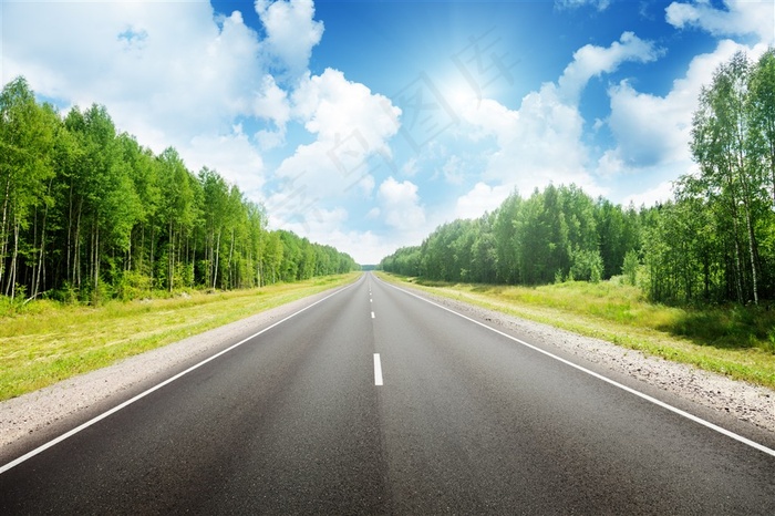 树木公路道路景色