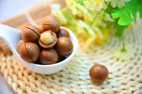 夏威夷果图片 夏威夷果图片