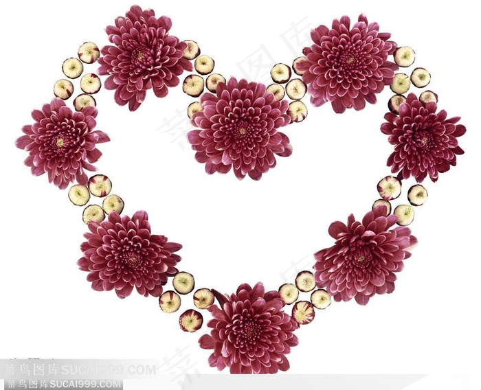 情人节花物语-紫色心形菊花