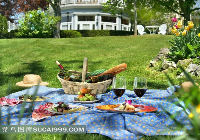 野餐的果篮面包美食和红酒摄影图