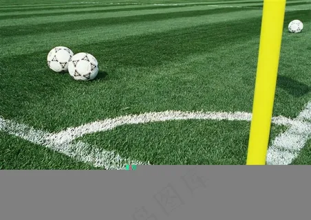 体育运动-放在草地上的两个足球