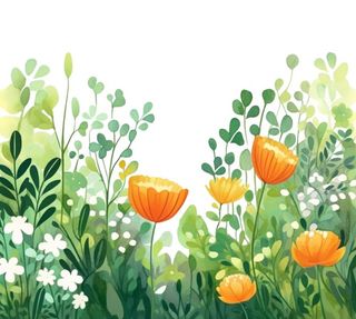 前排装饰性花朵小草