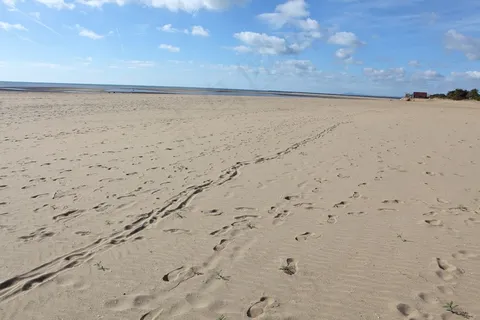 海滩沙子脚印图片 海滩沙子脚印图片
