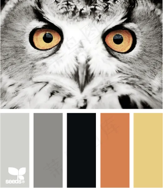 动物配色色卡色彩搭配