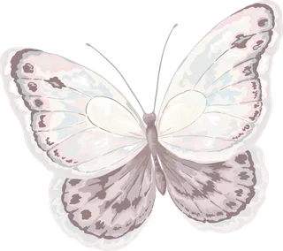 卡通动画动画蝴蝶免扣PNG手绘插画图片素材 (94)