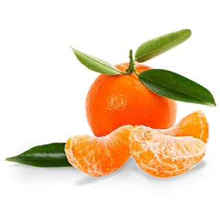 橘子免抠素材 (35)