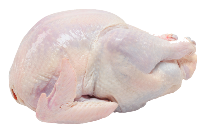 免抠拔光毛的鸡免扣素材