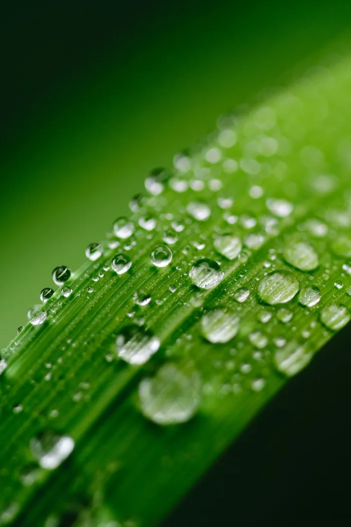水珠水珠水珠