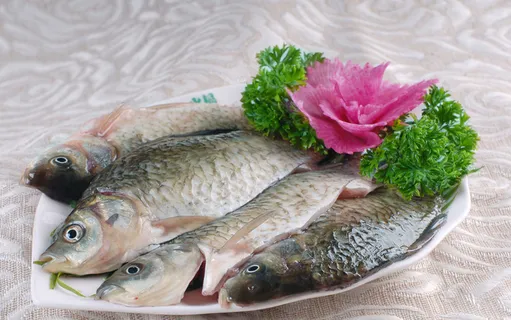 美食鲜鲫鱼 美食鲜鲫鱼