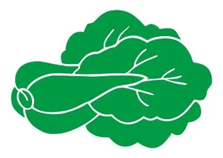 矢量大白菜