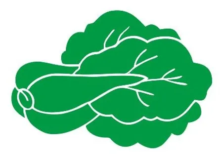 矢量大白菜 矢量大白菜