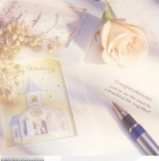 情人节物语-钢笔与小玫瑰花