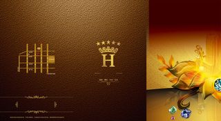 光照粗糙肌理欧式装饰牛皮质感三折页