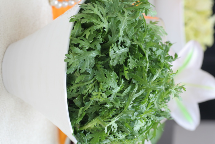 茼蒿菜 (2)