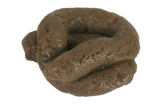 大便 PNG免抠(993x652)