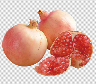 石榴免扣素材
