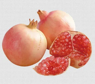 石榴免扣素材