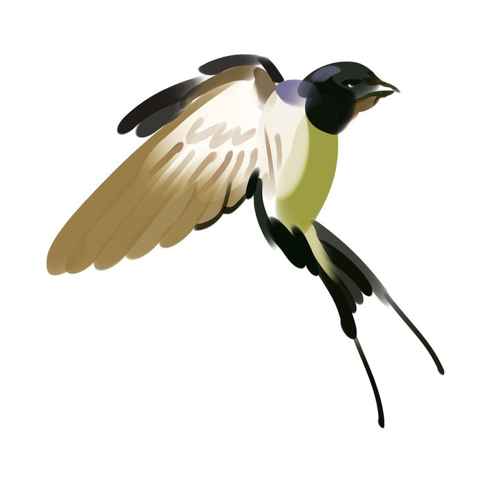 水彩手绘春季春天柳树柳条枝条小鸟小燕子元素PSD设计素材PNG图片