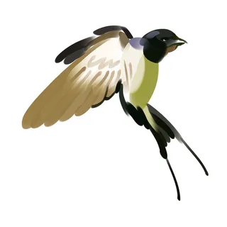 水彩手绘春季春天柳树柳条枝条小鸟小燕子元素PSD设计素材PNG图片