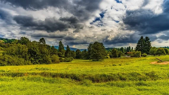 草地乌云树林风景图片