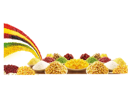 五谷丰登粮食丰收