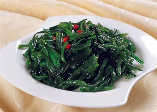 96LC-278天然海草