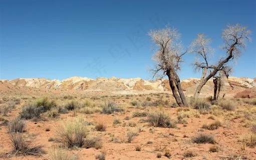沙质荒漠景观沙漠高清图