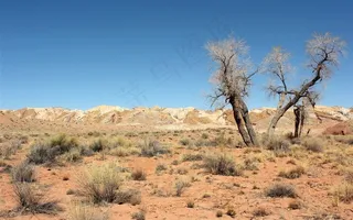 沙质荒漠景观沙漠高清图