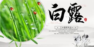 时尚创意二十四节气白露节海报