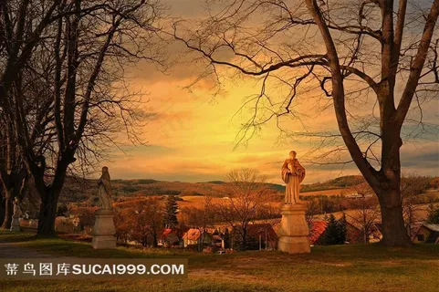 维也纳森林景观