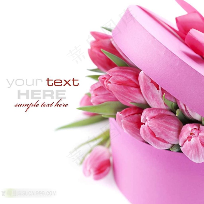 浪漫粉色郁金香